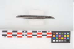Foto von Bronzeringanhänger (NHMW-PRAE-025533)